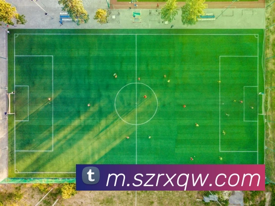 App Interface Preview